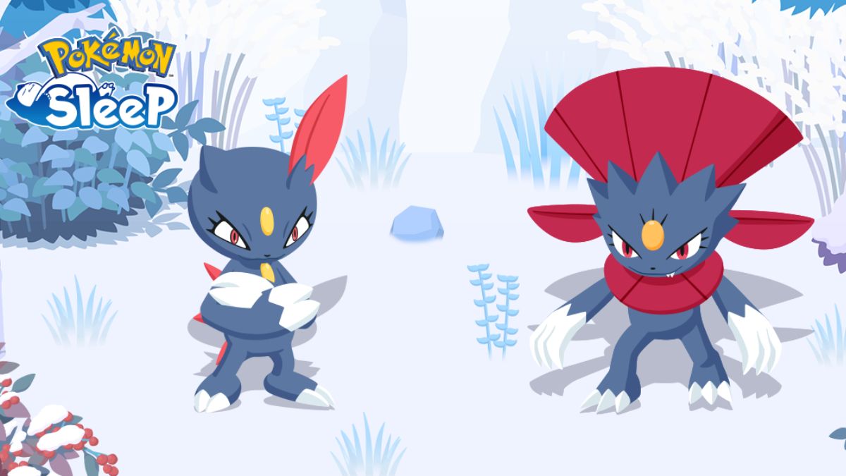 วิธีรับ Sneasel และ Weavile ในการนอนหลับโปเกมอน