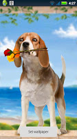 Puppy Love Live Wallpaper