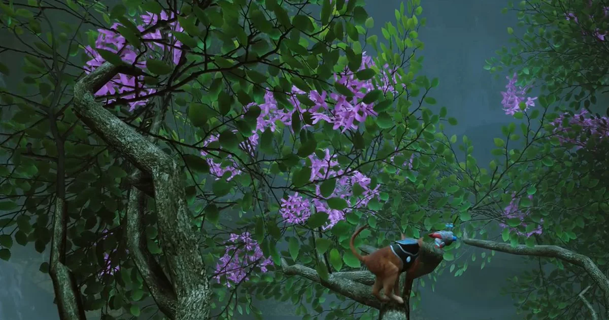 Planta roja callejera, planta amarilla y ubicaciones de plantas moradas explicadas