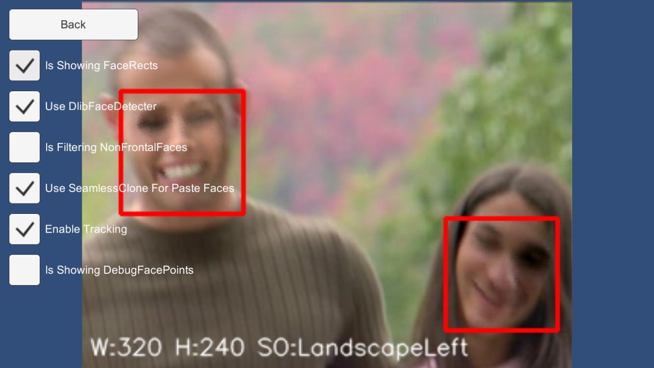 FaceSwapper Example