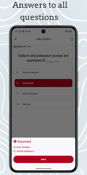 RGN Quizlet