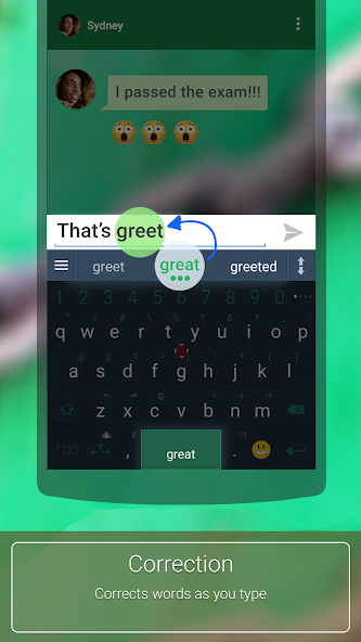 ai.type Swedish Dictionary