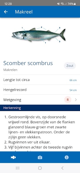 Vissengids