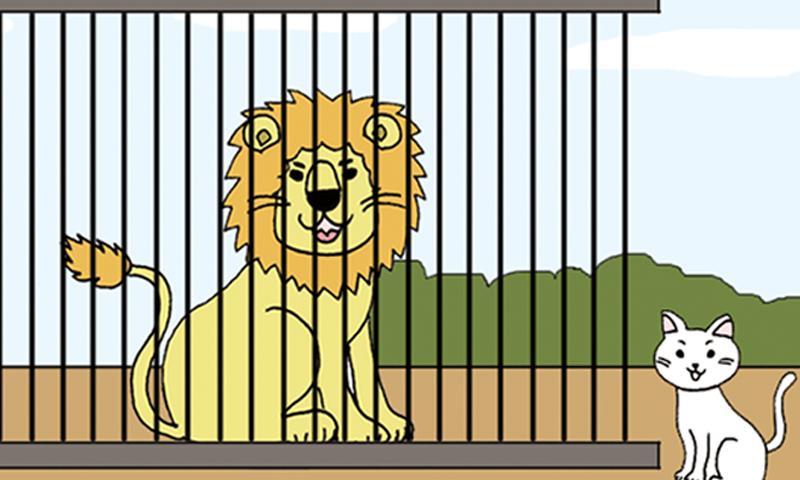 Animal Cute Story