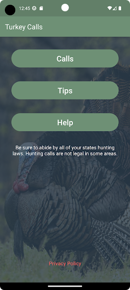 Turkey Calls