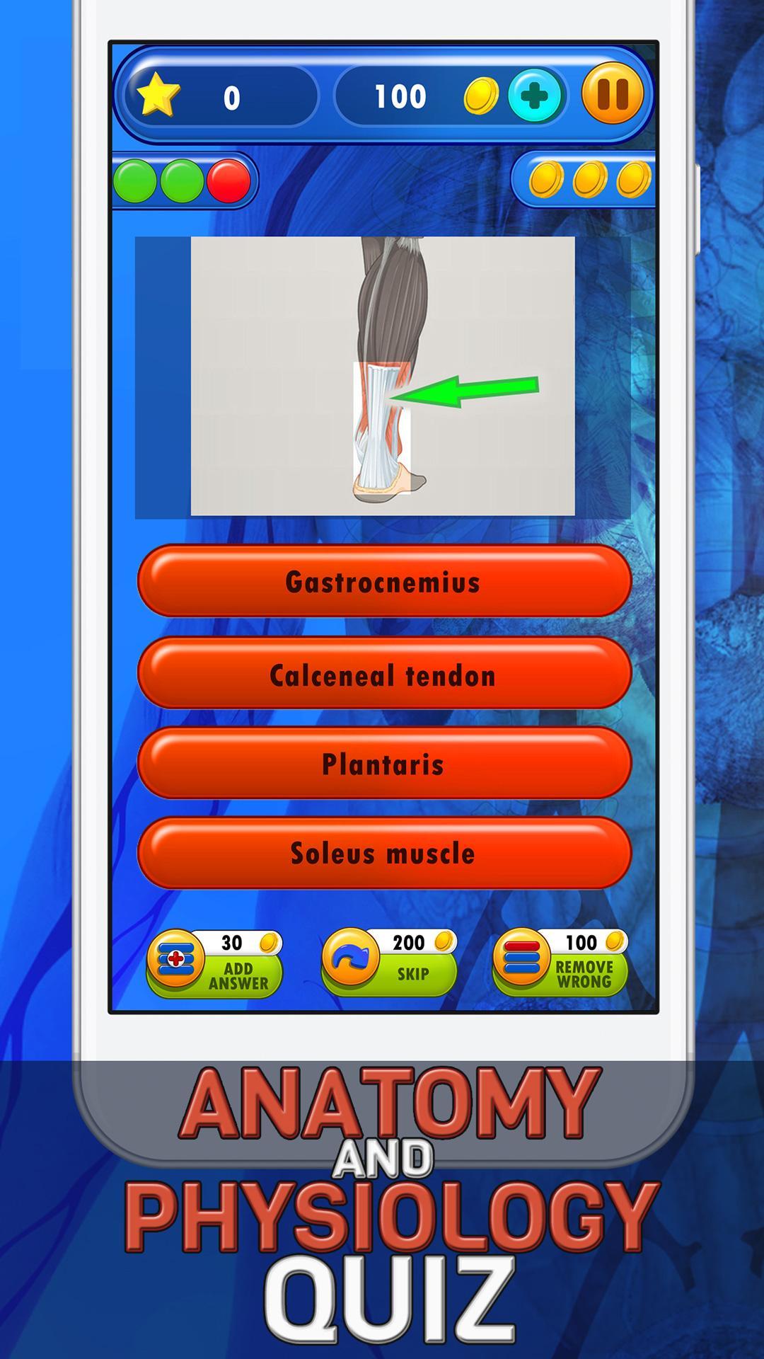 Human Body Anatomy Quiz