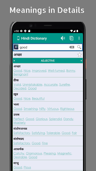 Hindi Dictionary (Offline)