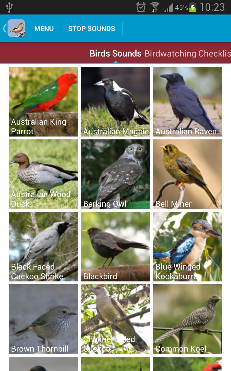 Australian Birds Sounds Free