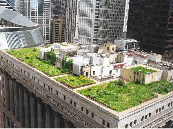 Best Rooftop Gardens Models