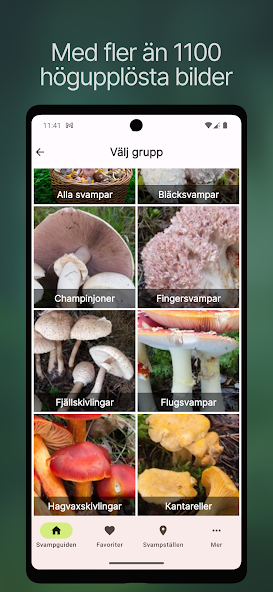 Svampguiden+