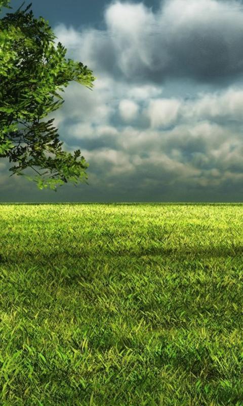 Nature Scenes Wallpapers