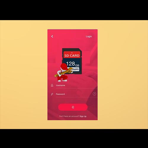 Sd card recovery pro free
