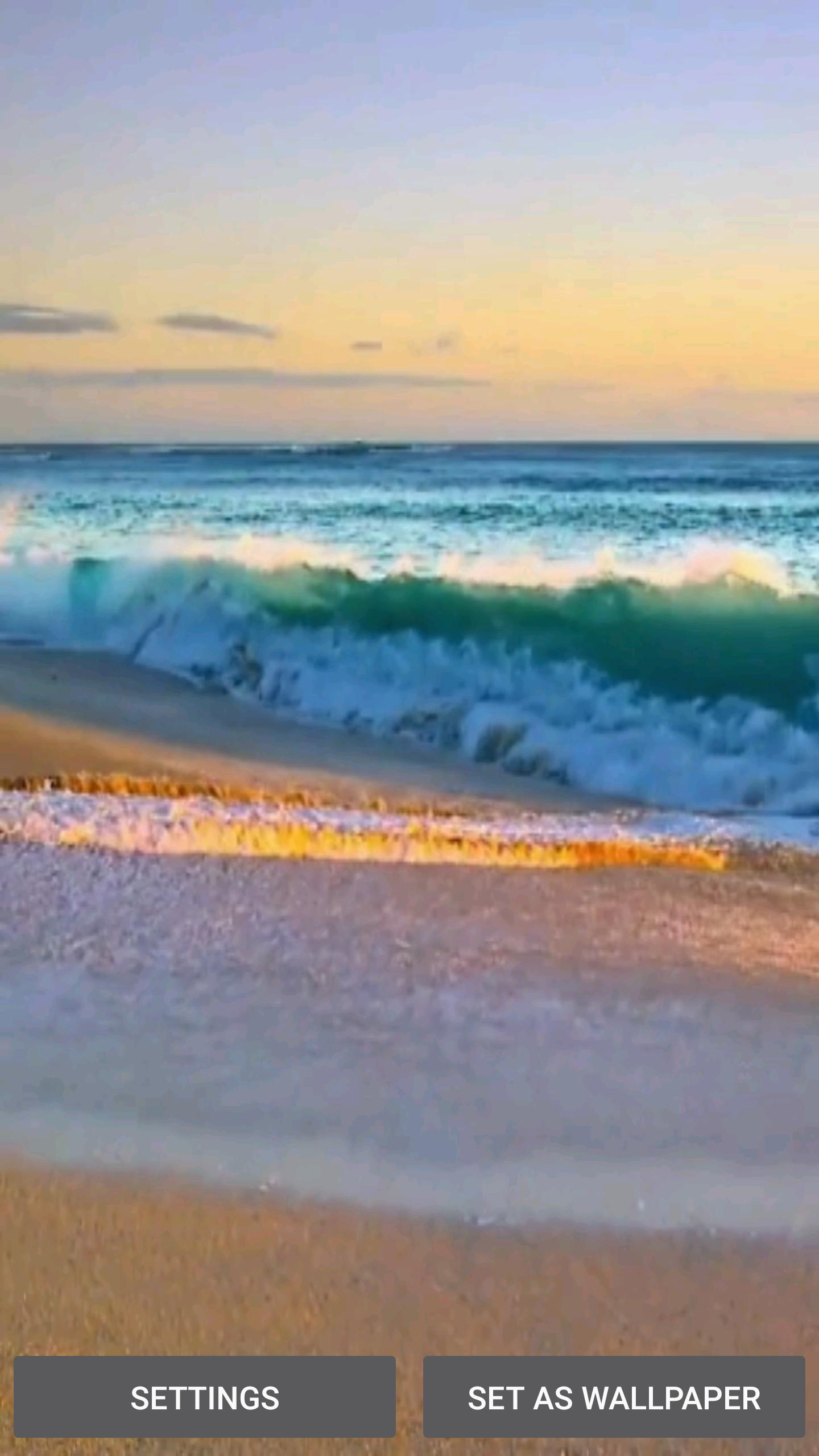 Beach Video Live Wallpaper