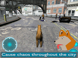 Doge Simulator FREE