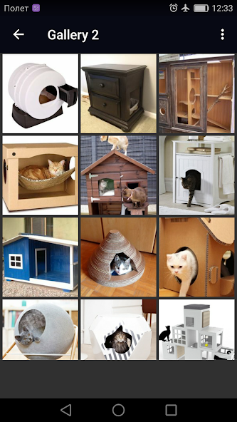 Indoor Cat House