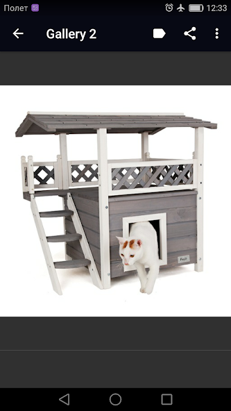 Indoor Cat House