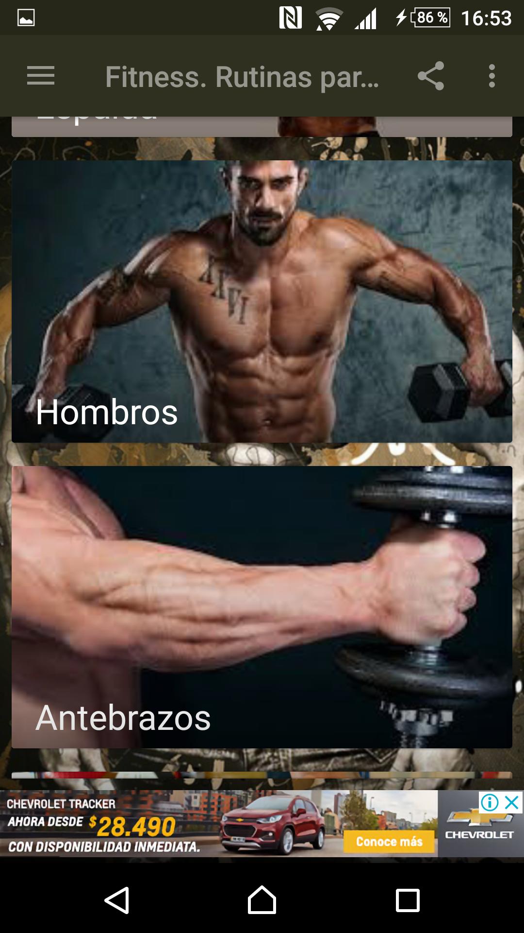 Fitness. Rutinas para el Gym