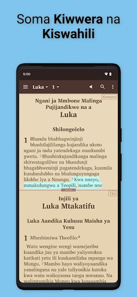 Mwera Bible
