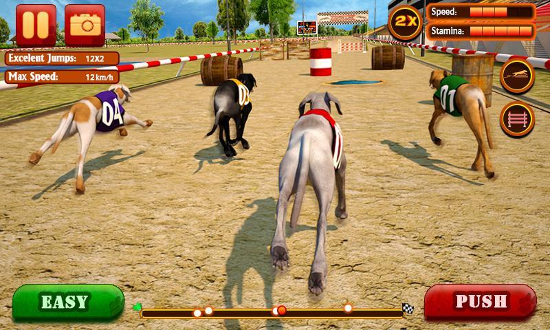 Dog Race & Stunts 2016