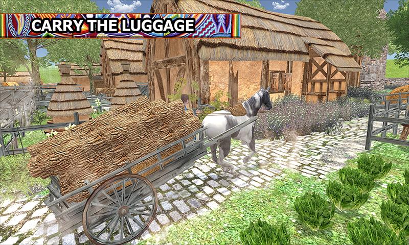 Wild Horse Carriage Transport