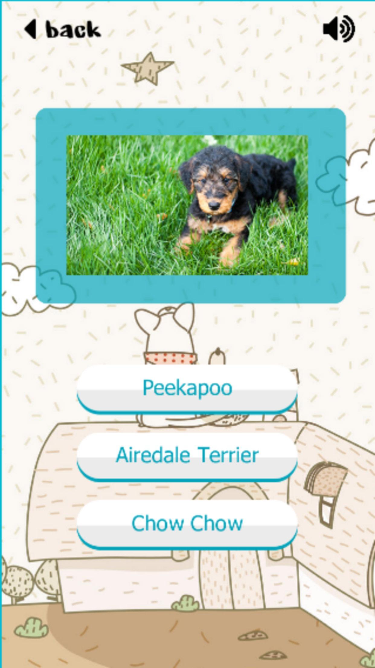 Puppy Dogs Quiz- Guess Popular Breeds