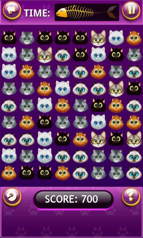 Cat Faces