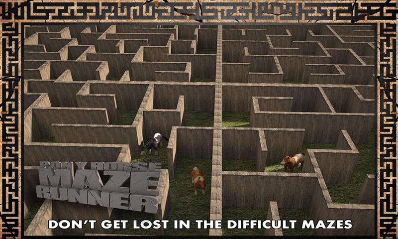 Pony Horse Maze Run Simulator