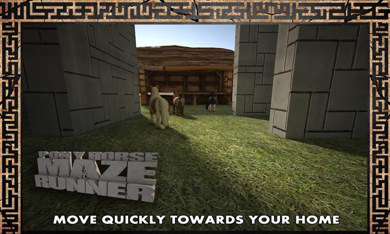 Pony Horse Maze Run Simulator