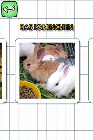 Animals in german