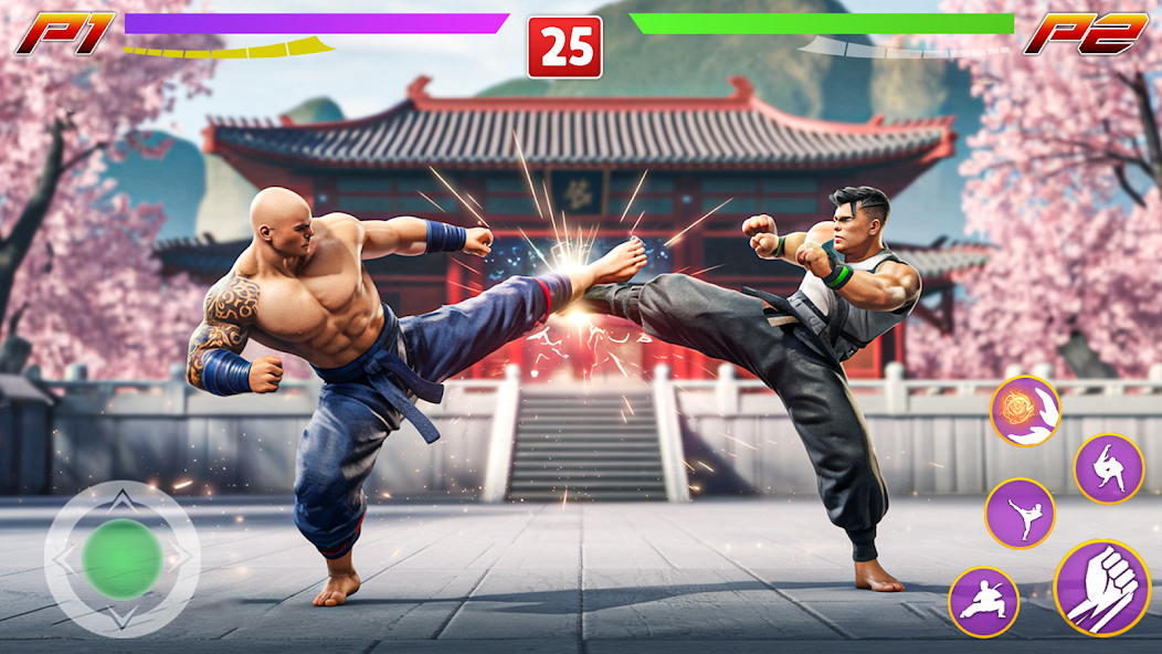 Kung Fu Gym Fighting